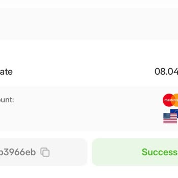 Starpets Missing Balance Issue After Successful Deposit