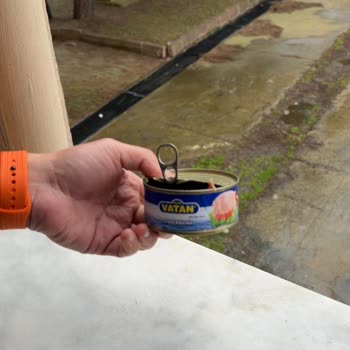 Şok Market'te Satılan Ton Balığının İçinde Canlı Kurt