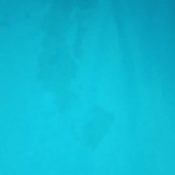 Profilo Çamaşır Makinesinde Grileşme Sorunu Ve Servis Çözümünün Yokluğu