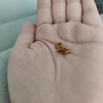 Moms Çilek Chia Granola Paketi İçinde Plastik Parça Bulunması Sağlık Riski