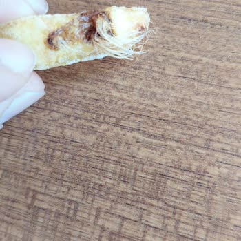 Köfteci Yusuf Akbak Şubesinde Patateslerde Tüy Sorunu Hijyen İhlali