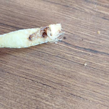 Köfteci Yusuf Akbak Şubesinde Patateslerde Tüy Sorunu Hijyen İhlali