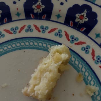 Feast Dondurulmuş Patateslerde Kıl Bulunması Nedeniyle Tam İade Talebi