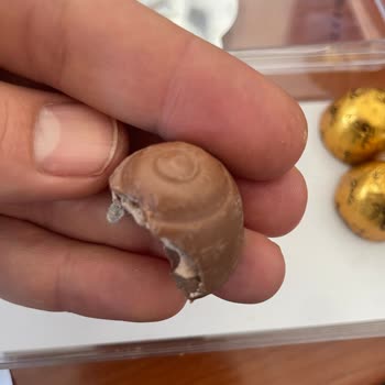 Beyoğlu Çikolata Gala Sütlü Çikolatasında Poşet Parçası Bulundu