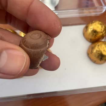 Beyoğlu Çikolata Gala Sütlü Çikolatasında Poşet Parçası Bulundu