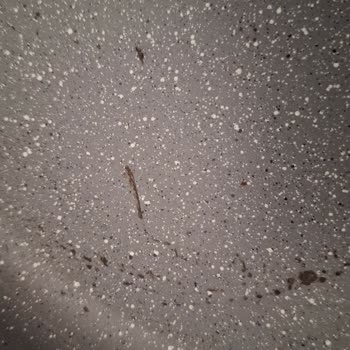 Brioni Tencere Setinde Kaplama Dökülmesi Ve Sağlık Riski