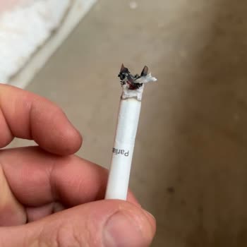 Parliament Night Blue Sigara Dumanı Gelmiyor