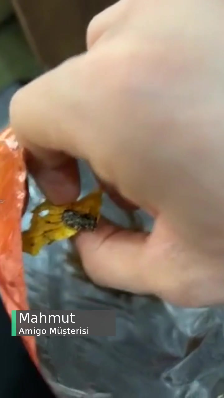 Amigo Cipsin İçinden Çıkan Aykırı Parça videonun kapak resmi
