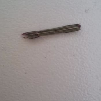 Activia Laktozsuz Kayısılı Yoğurtta Sert Dal Parçası