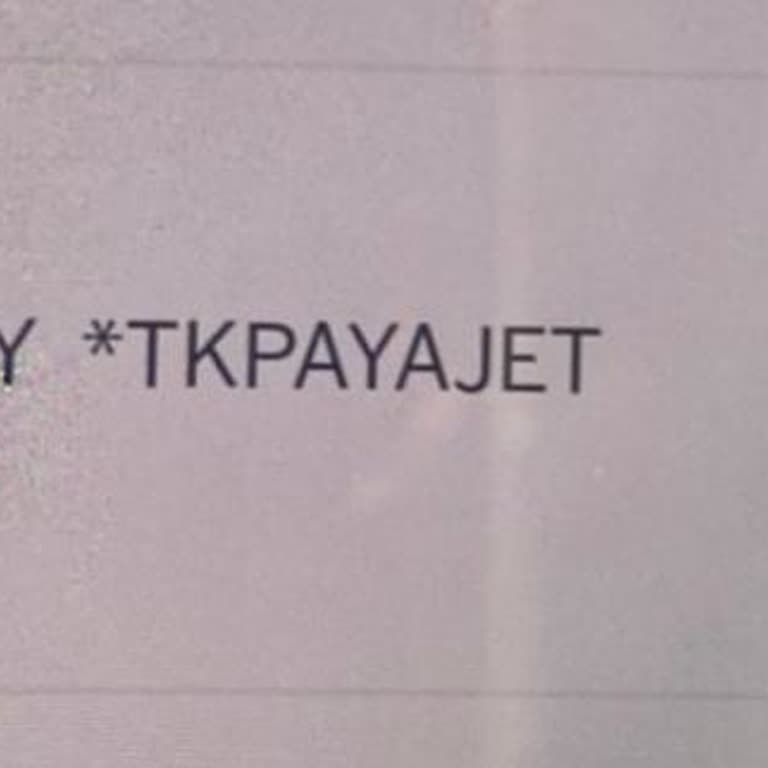 Kapı Değişikliği Ve Bilgilendirme Eksikliği Nedeniyle Çocuklu Yolcunun Mağduriyeti