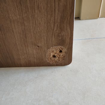 Kelebek Marta Orta Sehpa Şikayeti