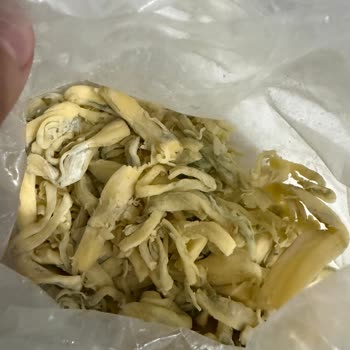 Safir Çeçil Peyniri Doğru Şekilde Saklamama Rağmen Çok Kısa Sürede Küflendi