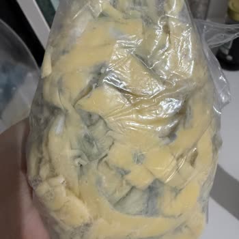 Safir Çeçil Peyniri Doğru Şekilde Saklamama Rağmen Çok Kısa Sürede Küflendi