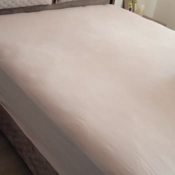 Bambi Biosalt Yatağın Çökmesi Ve Servis Gecikmesi