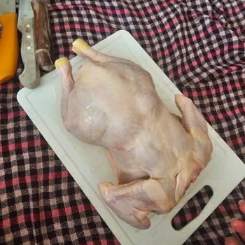 Erpiliç Tavuklarında Çamaşır Suyu Kokusu Ve Sağlık Endişesi