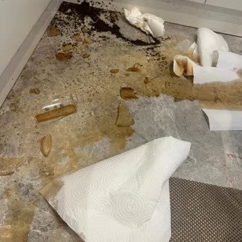 Karaca Cam Demlik Sapı Hiçbir Darbe, Düşme Veya Kullanıcı Hatası Olmadan Aniden Kırıldı