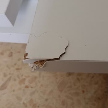 Ayıplı Dolap Teslimatı Sonrası Kargoyu Müşterinin Taşıması