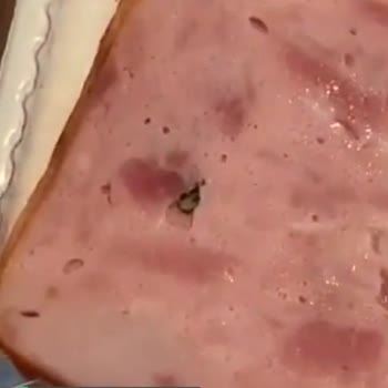 Aytaç Gurme Hindi Fümeden Plastik Çıktı!