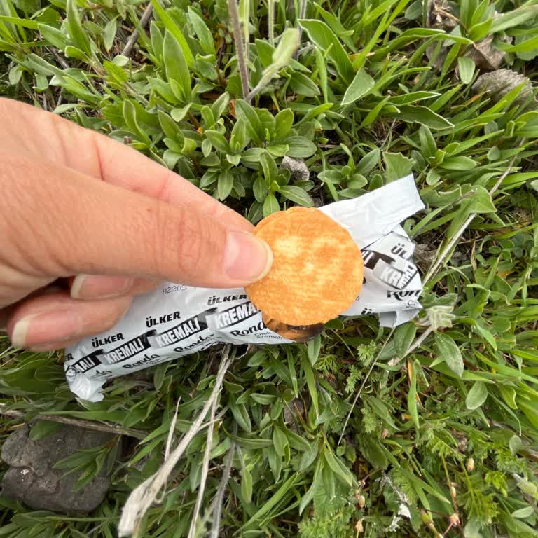 Ülker Rondo Çilekli Pakette Ters Kapatılmış Bisküvi Doldurması Ve Hijyen Sorunu