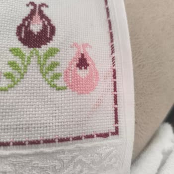 Domino İp Havluya Temas Eder Etmez Renk Verip Soldu