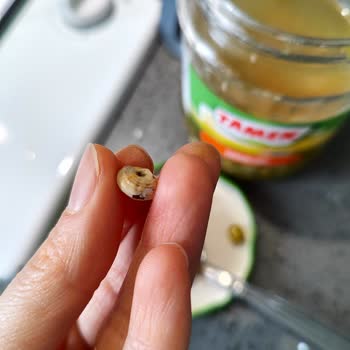 Getir'den Tamek Dondurulmuş Garnitürde Salyangoz Bulunması Hijyen Skandalı