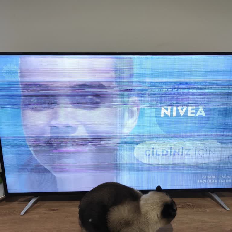 Garanti Dışı Panel Arızası Ve Ücretsiz Onarım Talebi