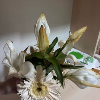 Çiçek Sepeti Şikayeti