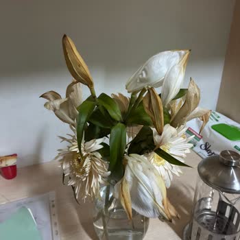 Çiçek Sepeti Şikayeti