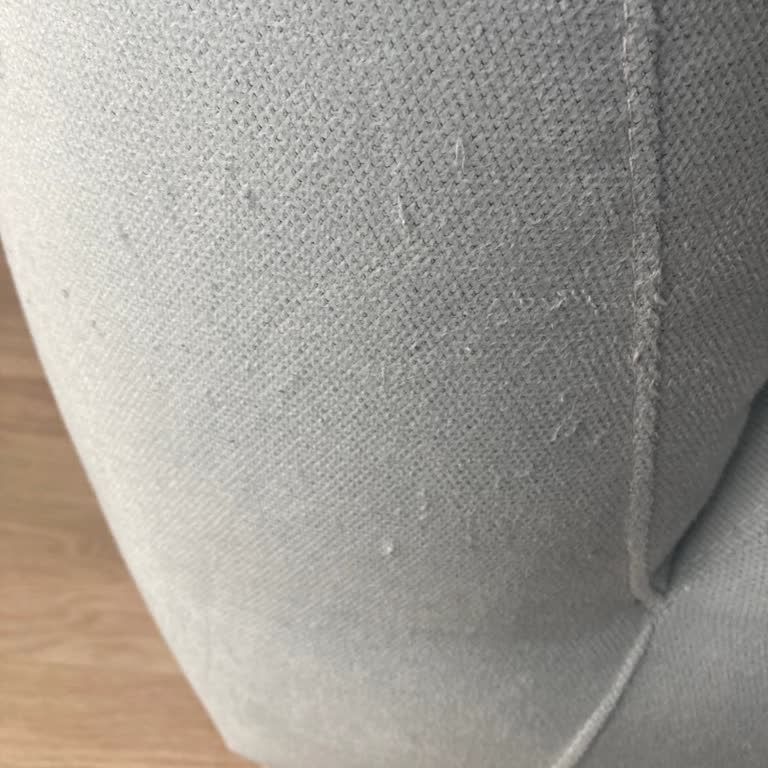 Yataş Enza Home’da Pet Dostu Koltukların Kumaşı Kedinin Tırmalamasına Dayanıklı Değil