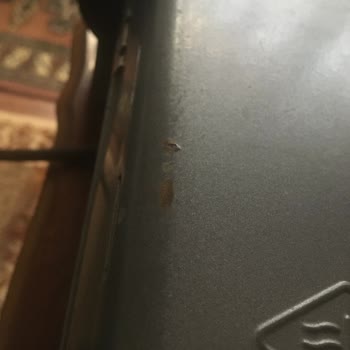 Aşınan Yapışmaz Yüzey Ve Paslanan Gövde İçin Ücretsiz Değişim Talebi