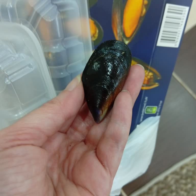 Nora Midye Dolmalarının Küçük Boyutları, Az Et Ve Tazelik Eksikliği