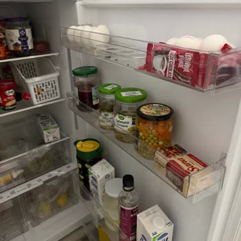 Buzdolabı Arızası Ve Çözülmeyen Servis Üzerine 800 TL Ücret İadesi Talebi