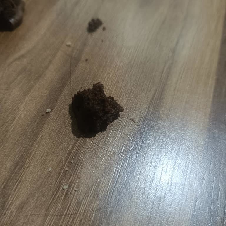 Eti Dankek Çilekli Kekte Kıl Var Hijyen Sorunu