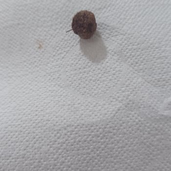 Nesquik Kahvaltılık Gevreğin İçinde Çocuğa Yönelik Tehlikeli Metal Parça Bulundu