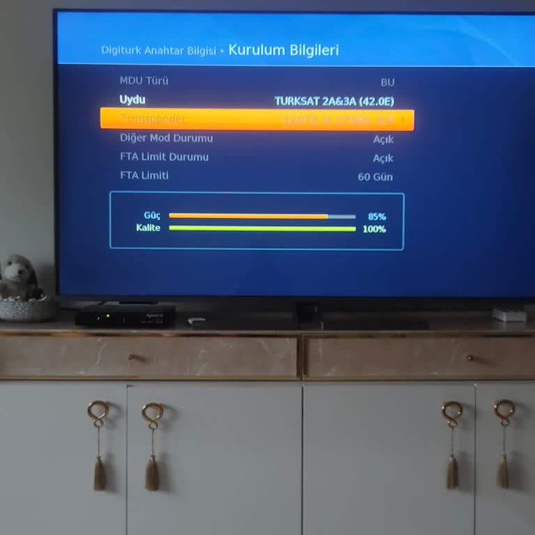 Bein Sports Ve TRT Kanallarına Erişemiyorum, 700 TL Servis Ücretiyle Mağdur Edildim
