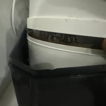 Hanedan Su Arıtma Küflenen Su Tankı Sağlık Tehdidi