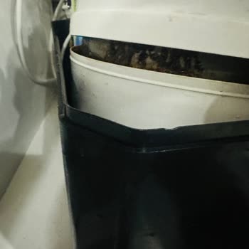 Hanedan Su Arıtma Küflenen Su Tankı Sağlık Tehdidi