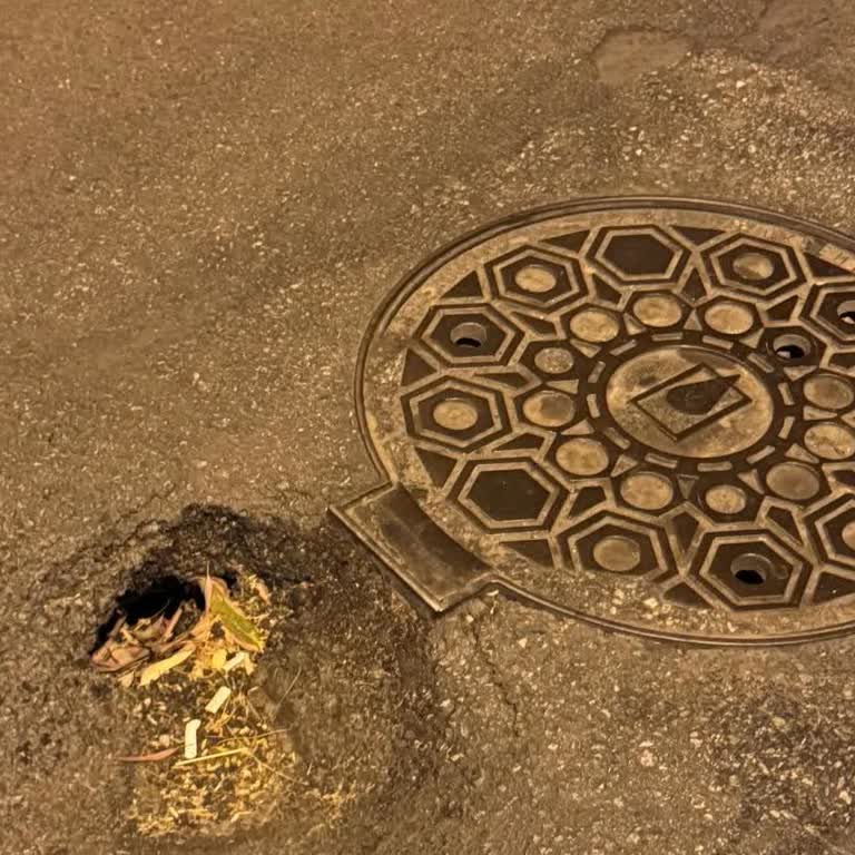 İzmir'in Çukurlu Yolları Üç Yıldır İhmal Ediliyor, Vatandaş Güvenliği Tehlikede