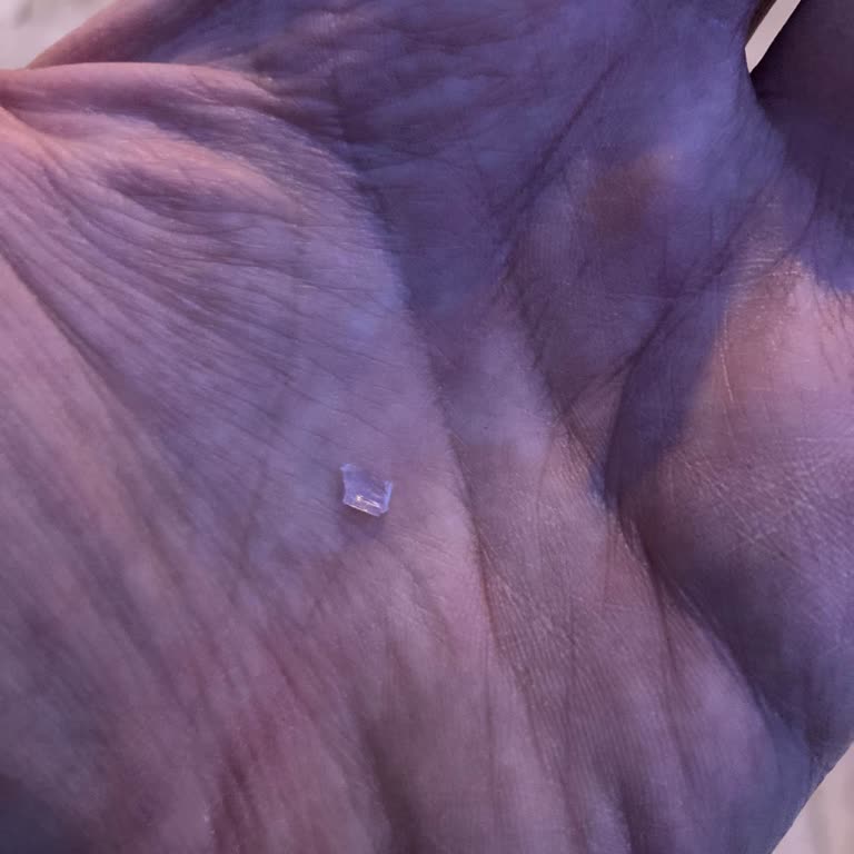 Lahmacunda Cam Parçası Güvenliğimizi Tehlikeye Attı