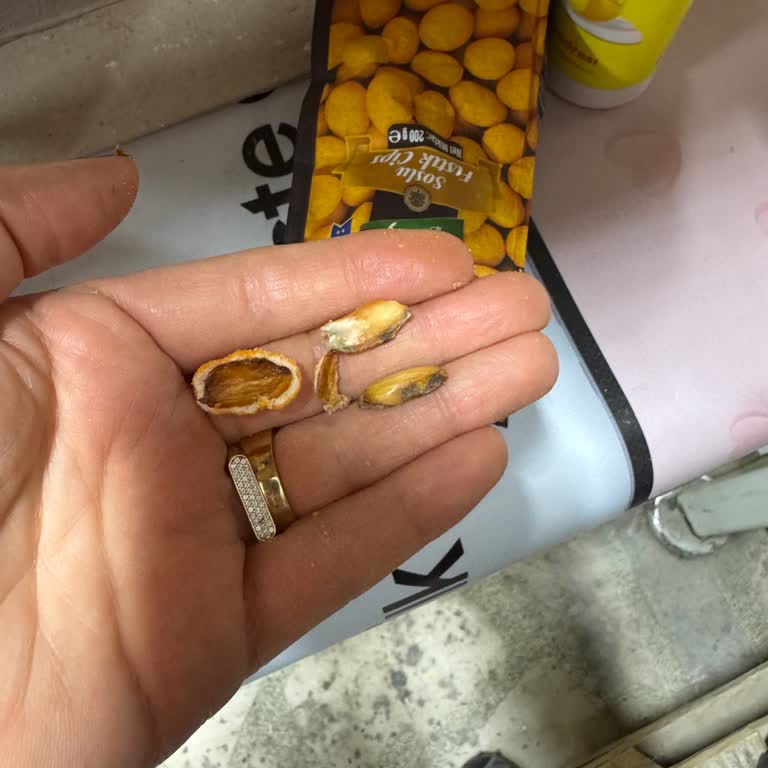 Küf Kokulu Ve Bozuk Soslu Fıstık Üzerine Güven Sorunu
