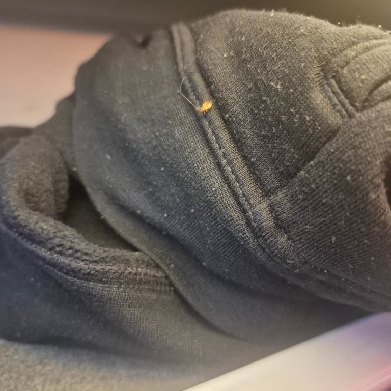 Otobüste Böcek Sorunu Ve Hijyen İhmaline İade Talebi