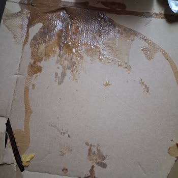 Sulanmış Ve Yenilemez Pizza İçin İade Ve Telafi Talebi