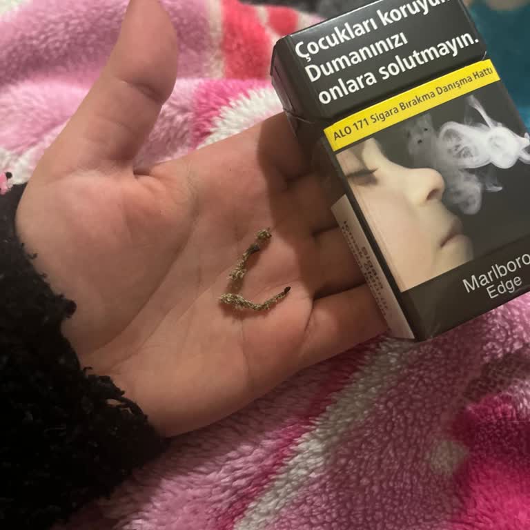 Marlboro Edge Sigara’da Plastik Tat Ve İp Sorunu