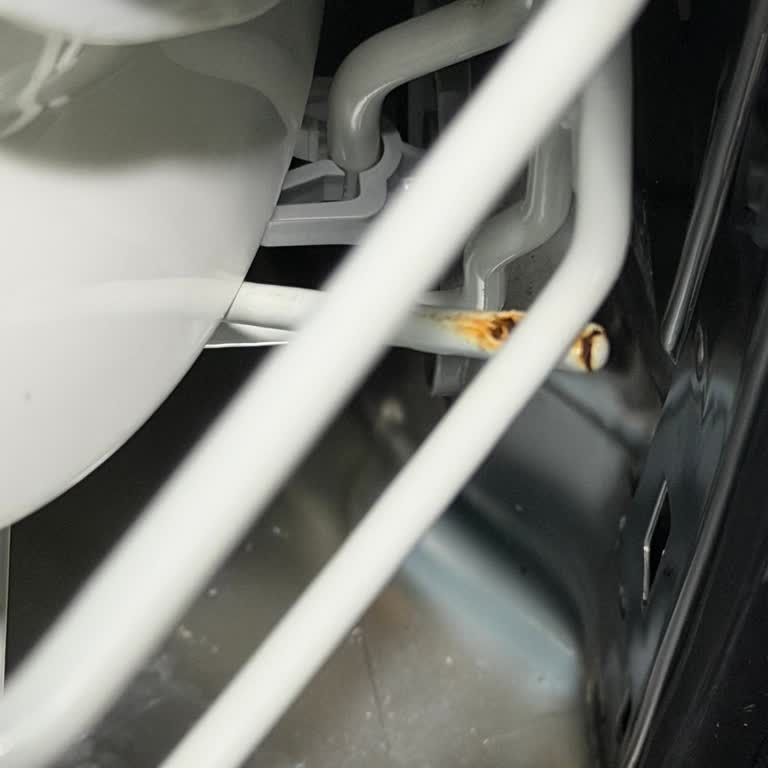 Arçelik Bulaşık Makinesinin Alt Sepetinde Paslanma Ve Hijyen Sorunu