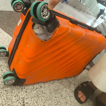 Ajet'in Hasarlı Bagajım İçin Değişim Ve Çözüm Talebi