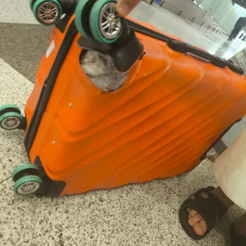 Ajet'in Hasarlı Bagajım İçin Değişim Ve Çözüm Talebi