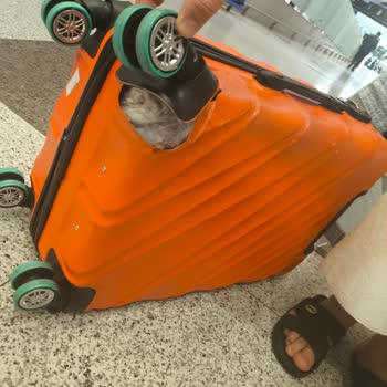 Ajet'in Hasarlı Bagajım İçin Değişim Ve Çözüm Talebi