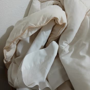 Booking.com Dirty Room Charge and No Refund