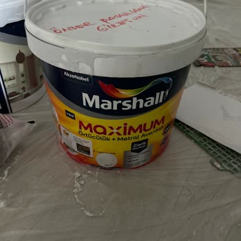 Karteladaki Martı Renginin Duvara Uygun Olmaması