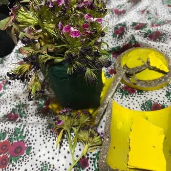 Canlı Çiçek Değil: Toprak Ve Kök Yok